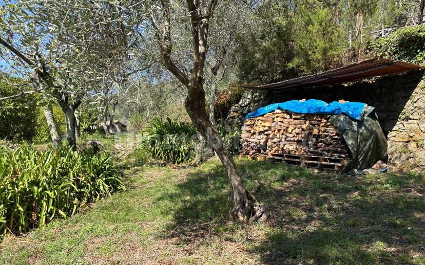 Appartamento via Antonio Giuseppe Norero 111, San Colombano Certenoli — foto 23 di 43