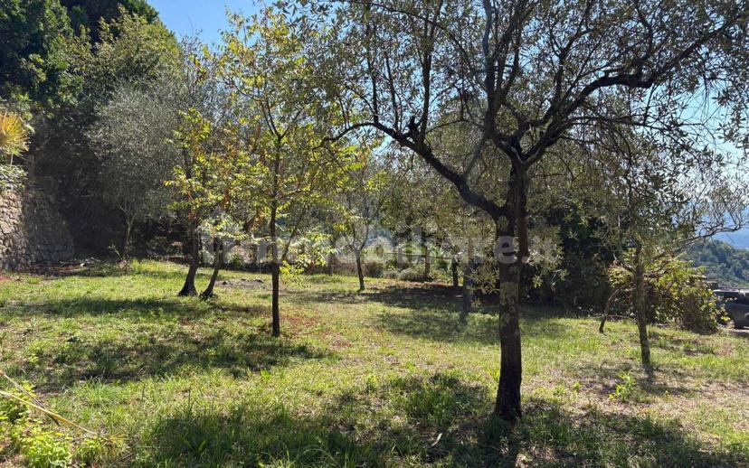 Appartamento via Antonio Giuseppe Norero 111, San Colombano Certenoli — foto 10 di 43