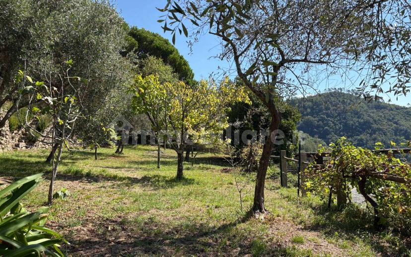 Appartamento via Antonio Giuseppe Norero 111, San Colombano Certenoli — foto 27 di 43