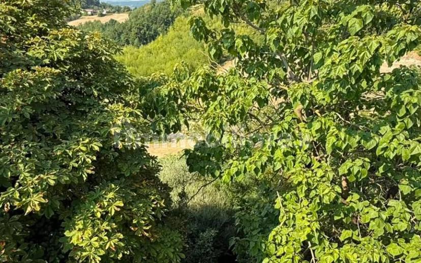 Terratetto plurifamiliare via Sottoripa 10, Centro, Ponzano Monferrato — foto 13 di 37