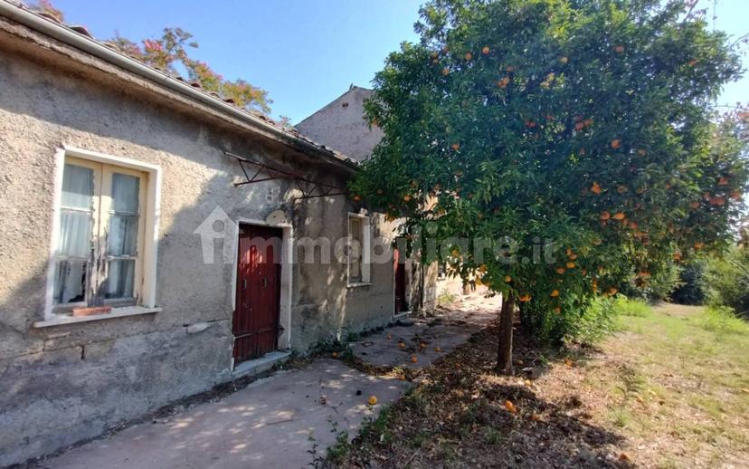 Casale via Marzi, Arce — foto 12 di 12