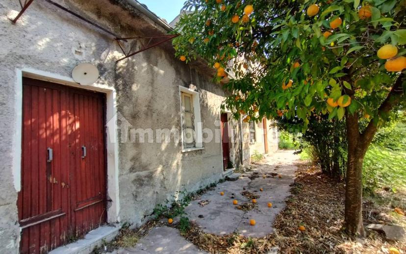 Casale via Marzi, Arce — foto 3 di 12