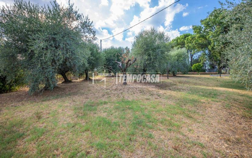 Terratetto unifamiliare Strada Intercomunale San Silvestro, Borgo Passera, Sant'Angelo, Bettolelle, Senigallia — foto 6 di 22