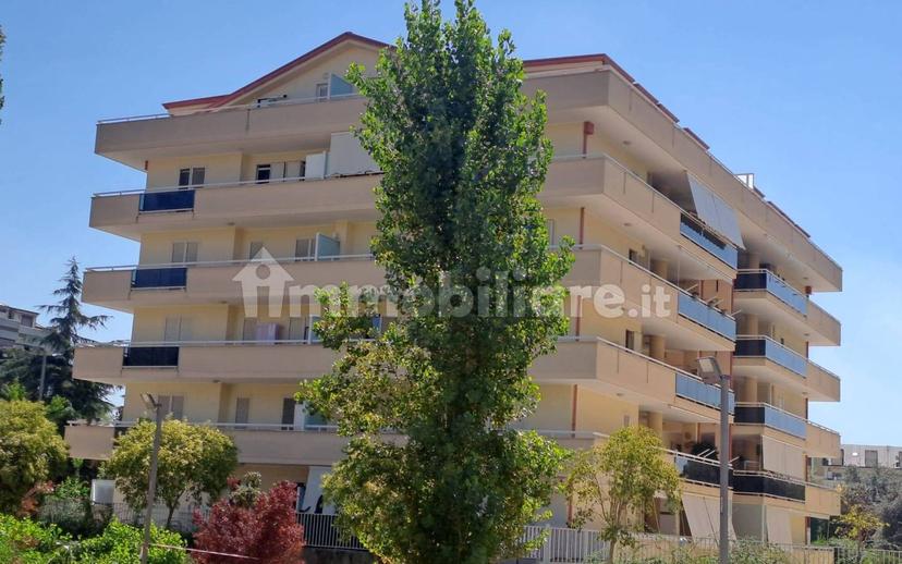 Trilocale via Trieste 40, San Nicola la Strada — foto 4 di 4