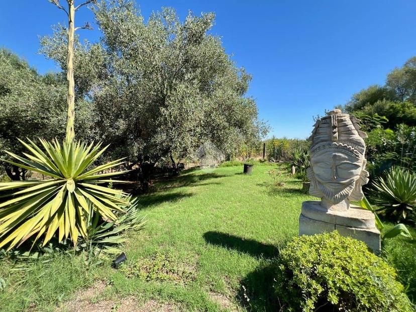 Terratetto unifamiliare Località Su Casteddu, Siliqua — foto 42 di 46