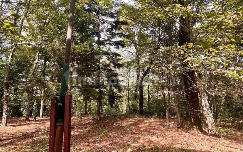 Terratetto unifamiliare via pora , 3, Centro, Cuvio — foto 47 di 56