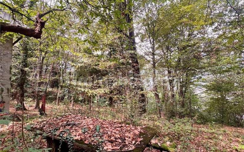 Terratetto unifamiliare via pora , 3, Centro, Cuvio — foto 7 di 56