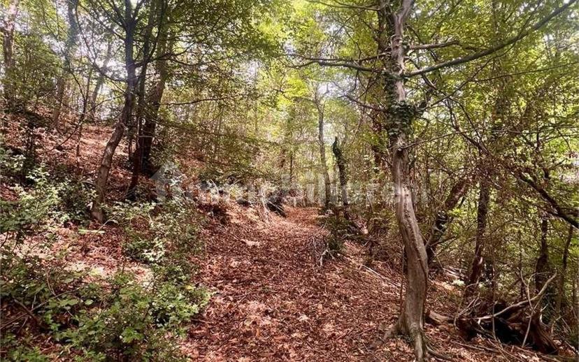 Terratetto unifamiliare via pora , 3, Centro, Cuvio — foto 13 di 56