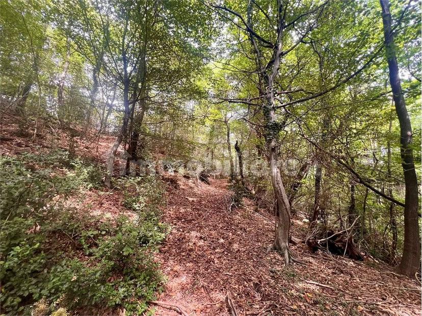 Terratetto unifamiliare via pora , 3, Centro, Cuvio — foto 40 di 56