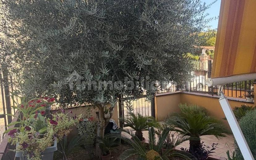 Trilocale via Leporano 81, Camigliano — foto 8 di 19