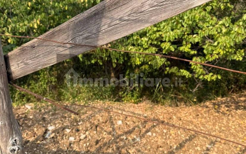 Terratetto unifamiliare Contrada Catena SNC, San Marco d'Alunzio — foto 13 di 13