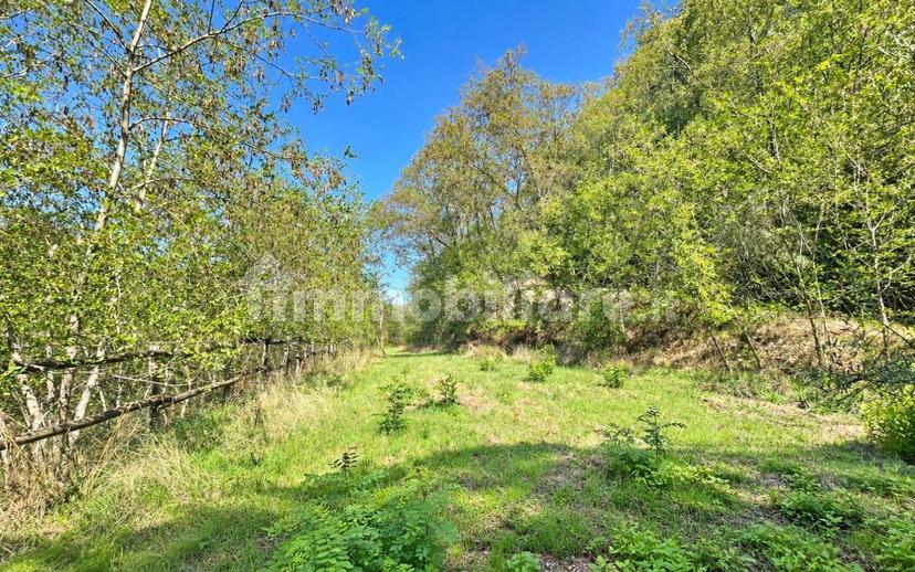 Villa unifamiliare via Graveglia, Valgraveglia, Riccò del Golfo di Spezia — foto 24 di 37