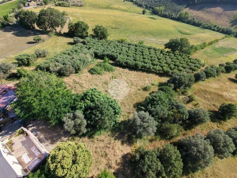 Bilocale Località via Colle della Corte 1, Roseto degli Abruzzi — foto 9 di 14