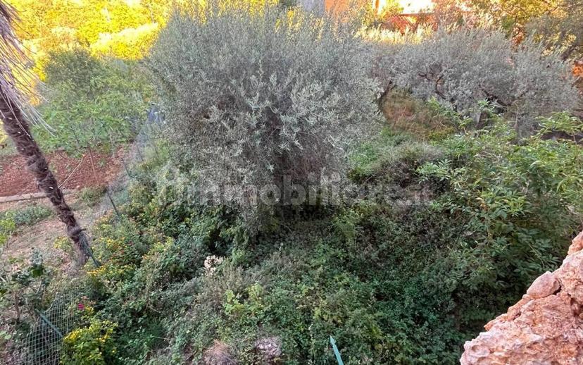 Casale via Santa Francesca 42, Santa Francesca, Veroli — foto 7 di 13