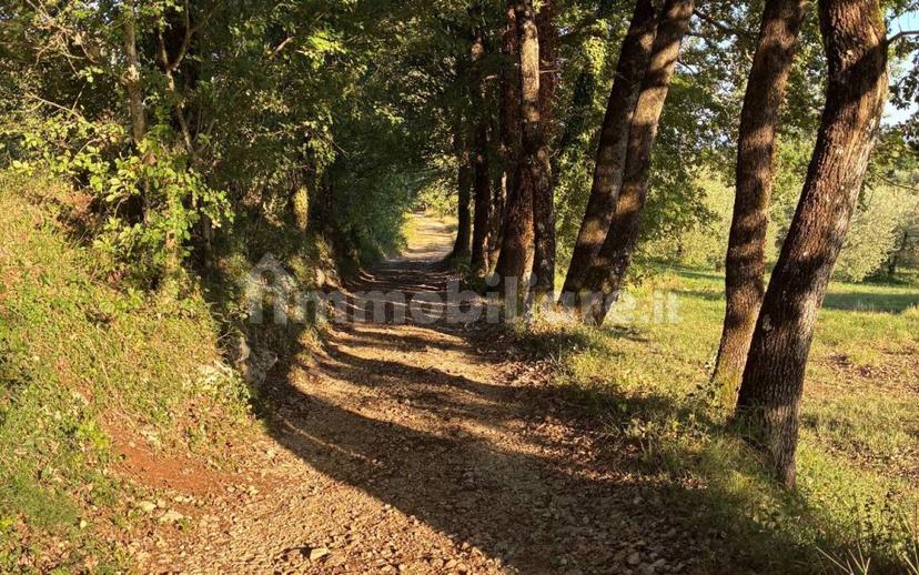Casale Contrada Case Clamè 1, Veroli — foto 6 di 14