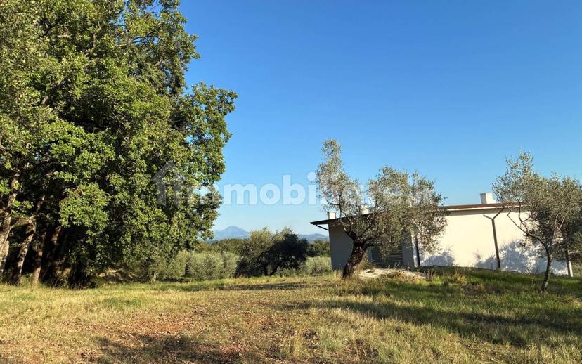 Casale Contrada Case Clamè 1, Veroli — foto 2 di 14