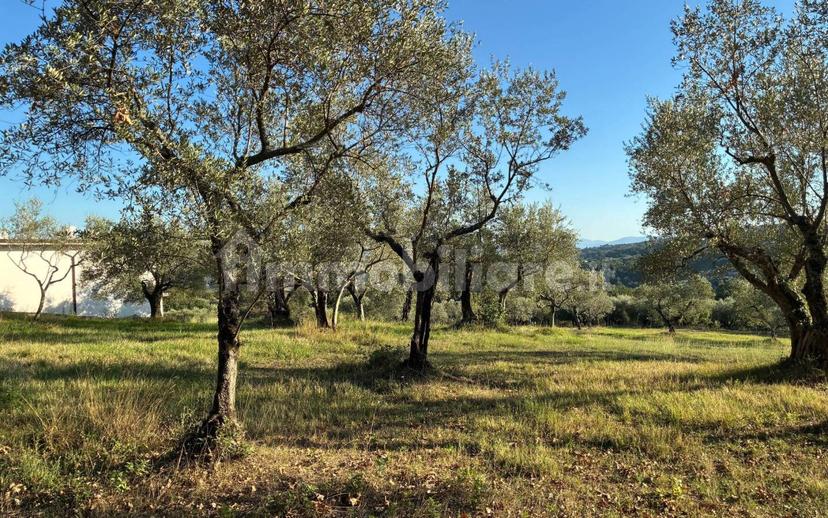 Casale Contrada Case Clamè 1, Veroli — foto 7 di 14
