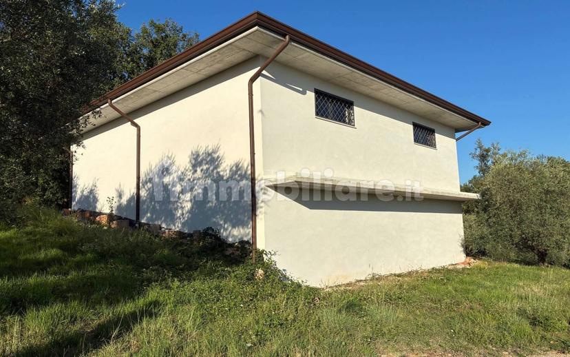 Casale Contrada Case Clamè 1, Veroli — foto 3 di 14