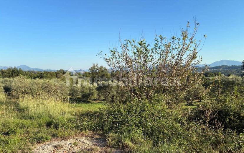 Casale Contrada Case Clamè 1, Veroli — foto 9 di 14