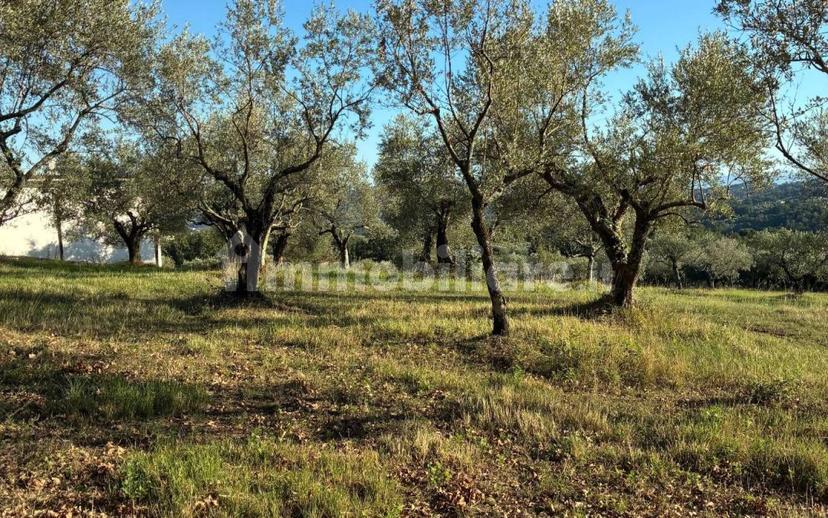 Casale Contrada Case Clamè 1, Veroli — foto 10 di 14