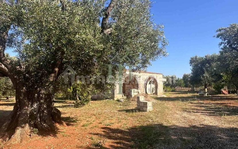 Rustico Contrada Palco di Cristo, Carovigno — foto 16 di 48