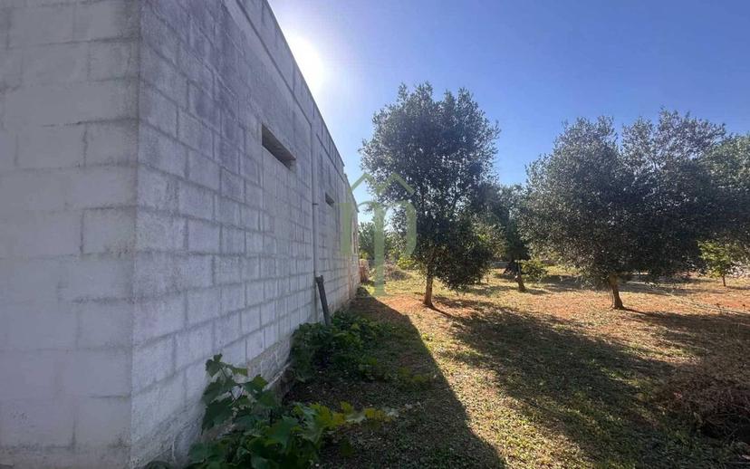 Rustico Contrada Palco di Cristo, Carovigno — foto 12 di 48