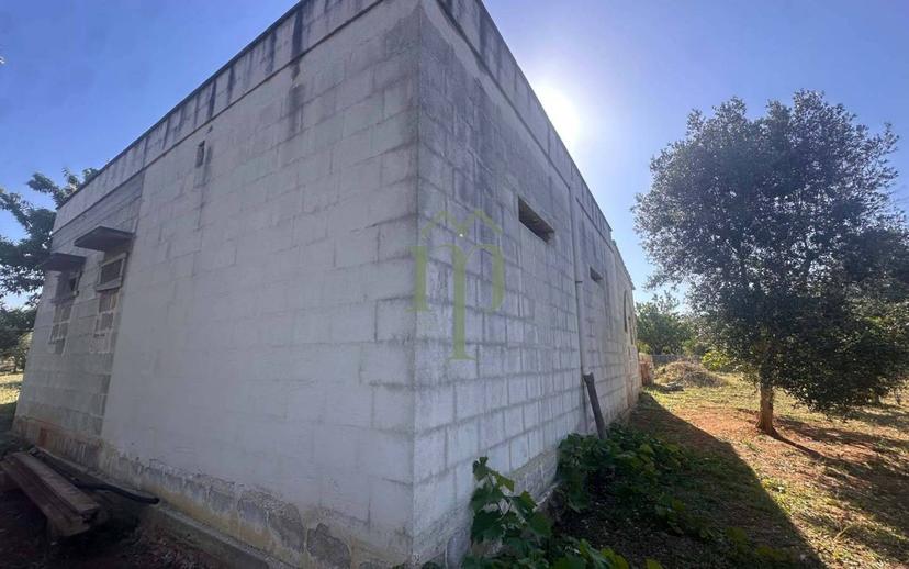 Rustico Contrada Palco di Cristo, Carovigno — foto 37 di 48