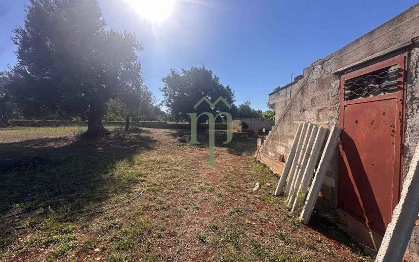 Rustico Contrada Palco di Cristo, Carovigno — foto 35 di 48