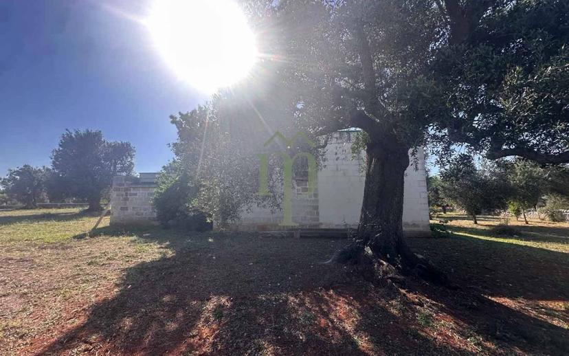 Rustico Contrada Palco di Cristo, Carovigno — foto 42 di 48