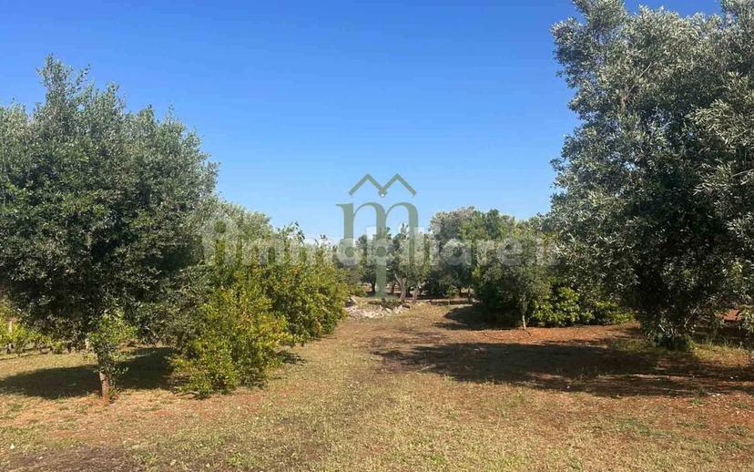Rustico Contrada Palco di Cristo, Carovigno — foto 47 di 48