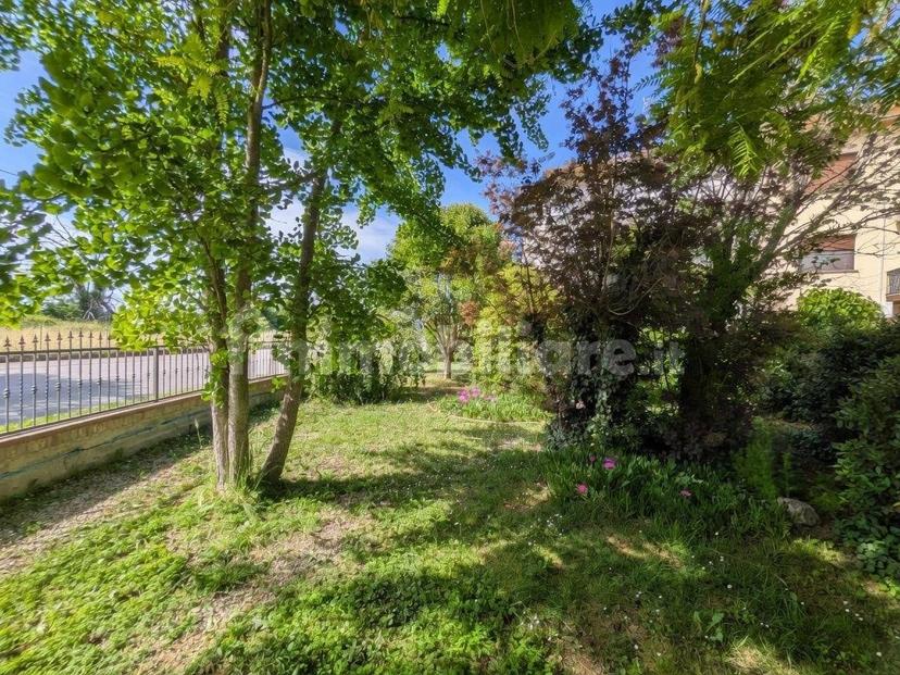 Trilocale via Galeazza, San Felice sul Panaro — foto 18 di 21