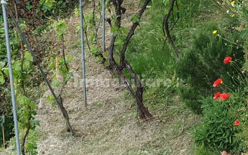 Terratetto unifamiliare via delle Cinque Terre, Biassa, La Spezia — foto 6 di 14