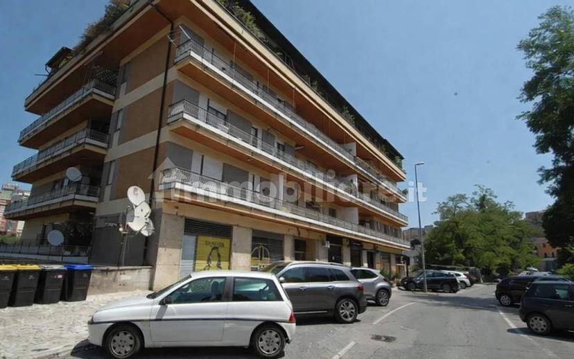 Quadrilocale via Alessandro Ciamarra 40, Centro, Frosinone — foto 12 di 19