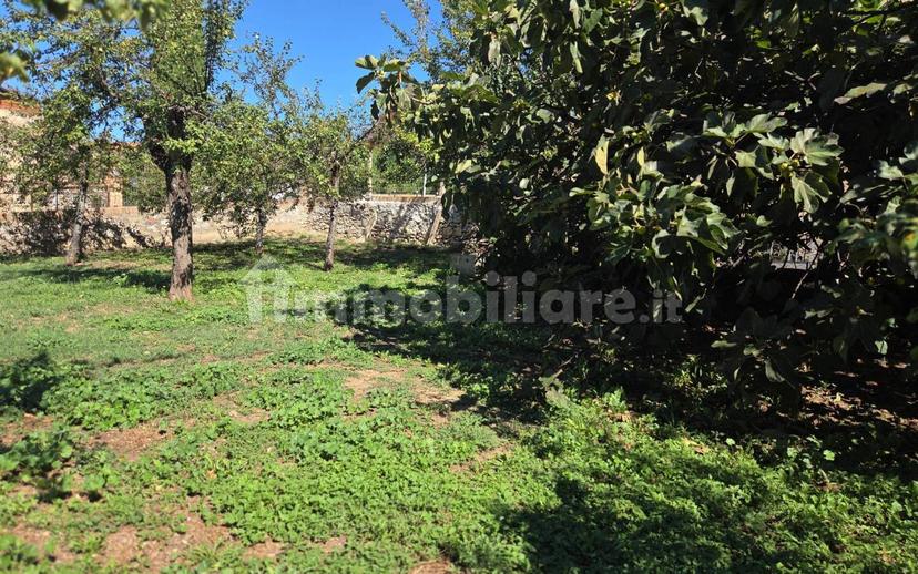 Villa unifamiliare via della Madonnina, Montefollonico, Torrita di Siena — foto 6 di 33