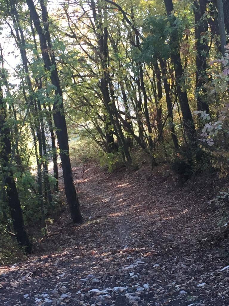 Rustico in vendita, Via Fondovalle, Marano Sul Panaro — foto 7 di 8
