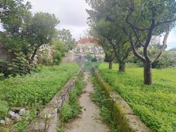 Casa indipendente, Spongano