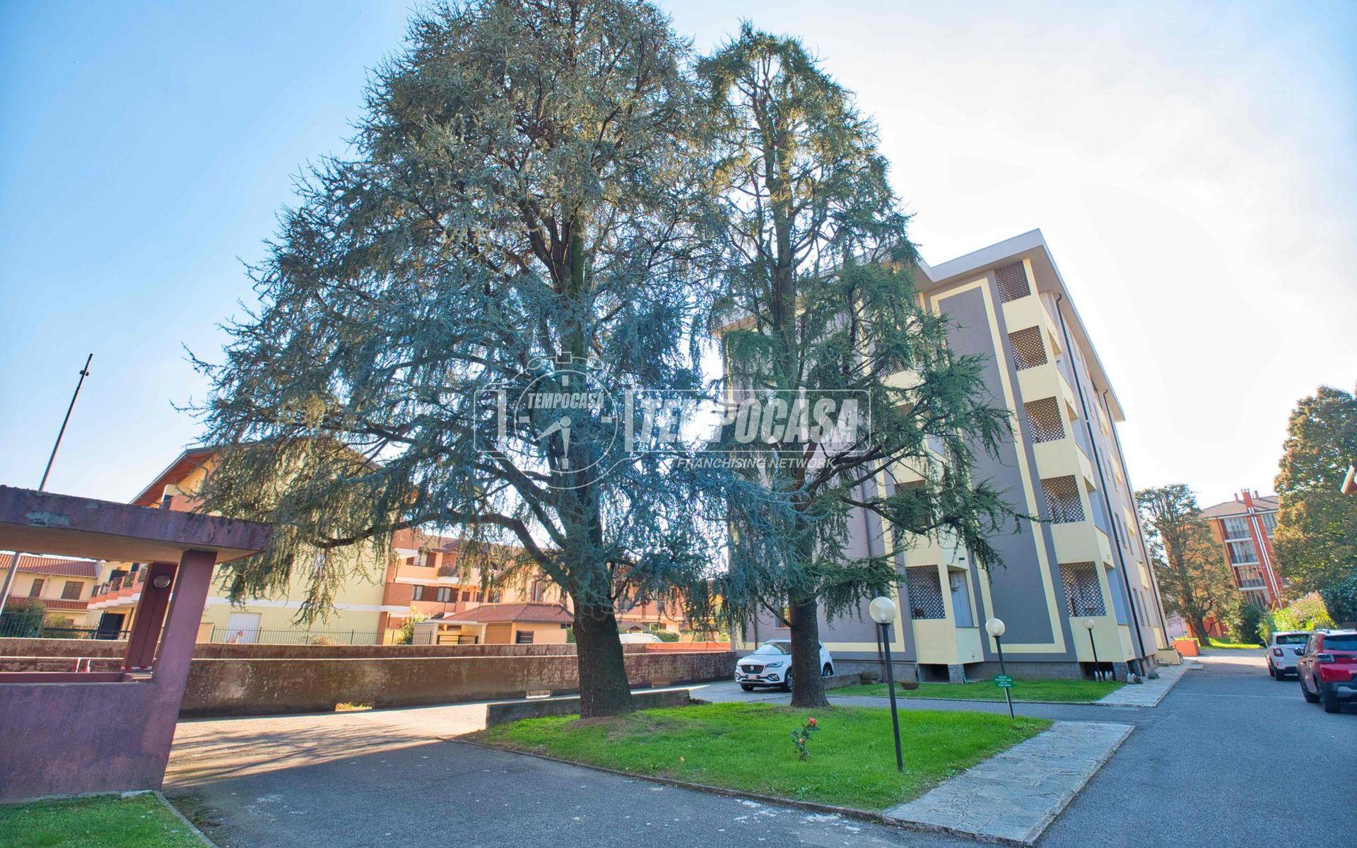 Bilocale, Galliate