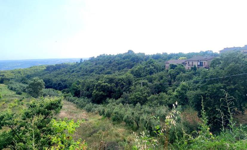 Vendita Casa Bi/Trifamiliare strada comunale di fossatello Orvieto (TR) — foto 12 di 14