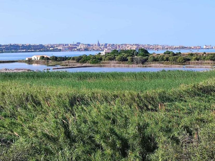 Vendita villa singola Via Lido Sacramento 64 Siracusa (SR) — foto 4 di 13