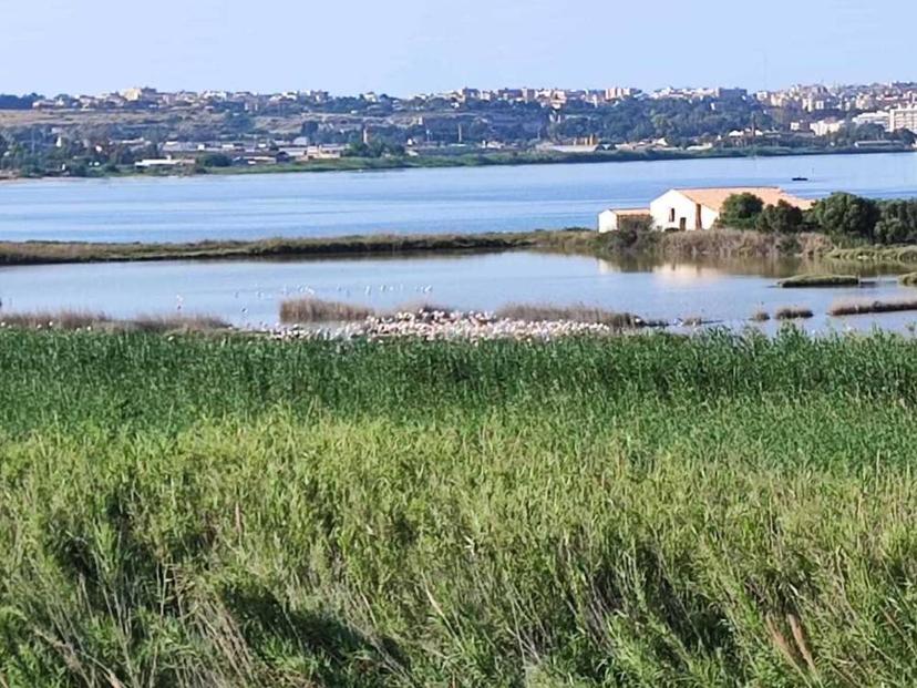 Vendita villa singola Via Lido Sacramento 64 Siracusa (SR) — foto 9 di 13