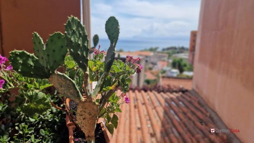 Vendita appartamento Acqualadrone Messina (ME) — foto 10 di 10