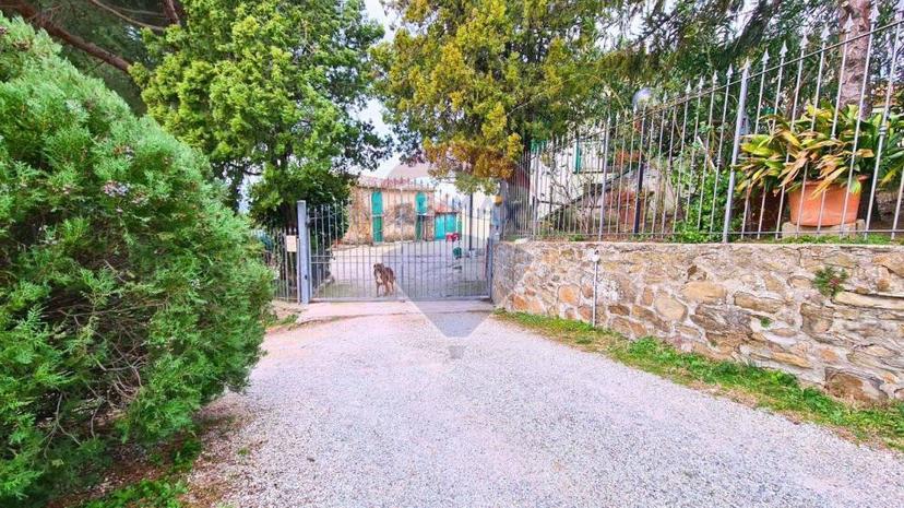 Vendita rustico/casale Via Di S.Amato Vinci (FI)