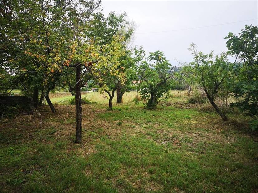 Vendita casa indipendente Via San Vincenzo 31 Vicoli (PE) — foto 3 di 12