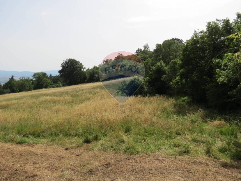 Vendita rustico/casale Roccastrada (GR) — foto 4 di 14