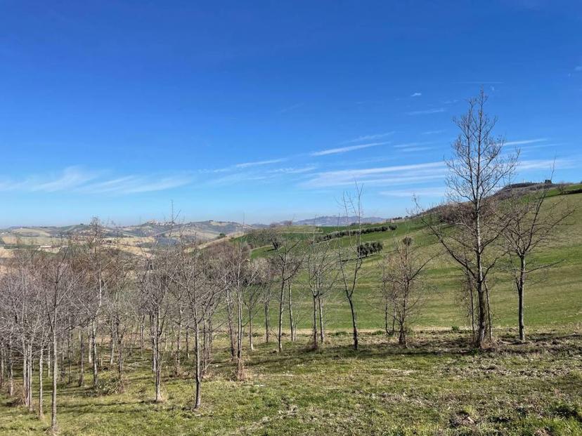 Vendita rustico/casale Castignano (AP) — foto 5 di 14
