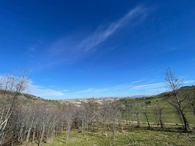 Vendita rustico/casale Castignano (AP) — foto 10 di 14