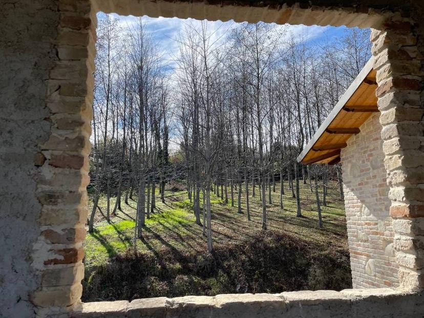 Vendita rustico/casale Castignano (AP) — foto 8 di 14