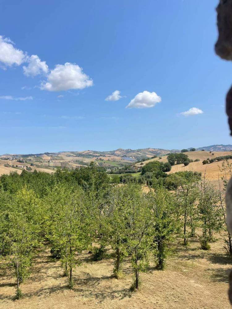 Vendita rustico/casale Castignano (AP) — foto 14 di 14