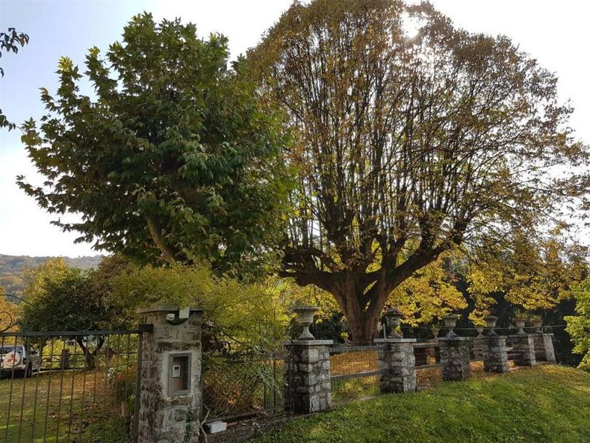 Vendita villa singola via Provinciale 56 Alta Valle Intelvi (CO) — foto 2 di 14