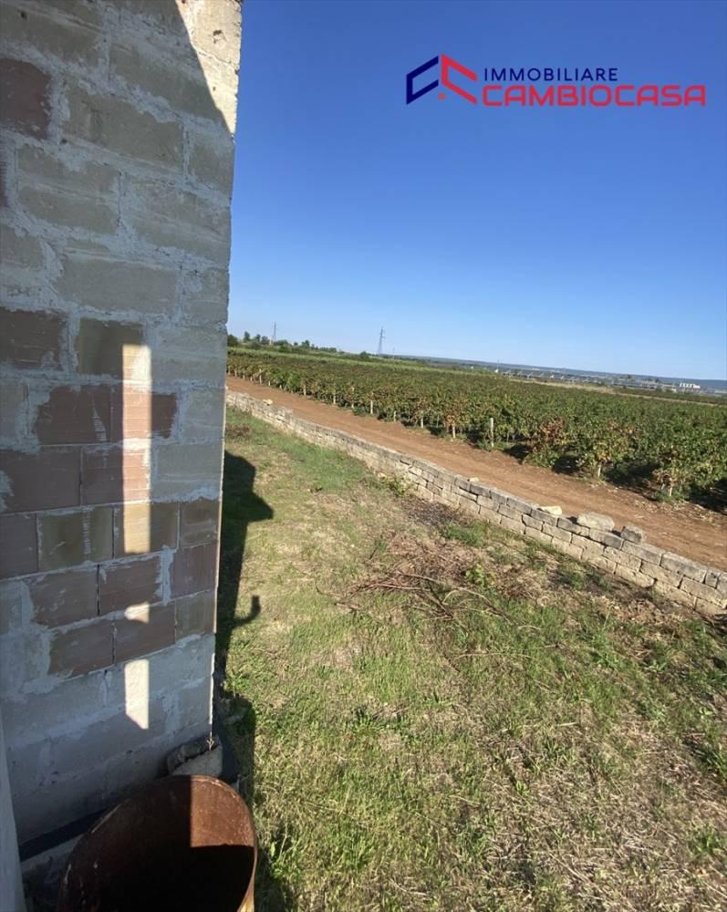 Vendita villa singola contrada fogliaro Crispiano (TA) — foto 11 di 14